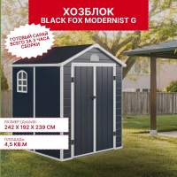 Сарай пластиковый Black Fox Modernist G 4,5м2