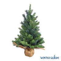 Ель искусственная Winter Glade Бонни 60 см